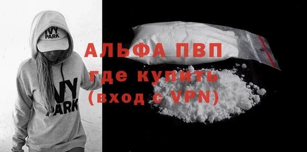 индика Костерёво