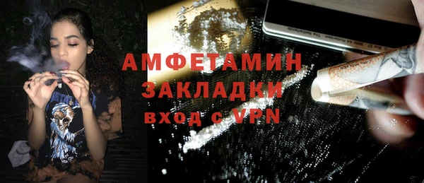 индика Костерёво