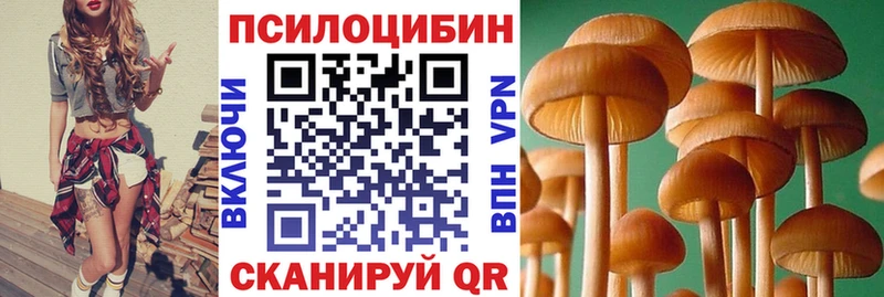 даркнет наркотические препараты  omg зеркало  Златоуст  Псилоцибиновые грибы мицелий 