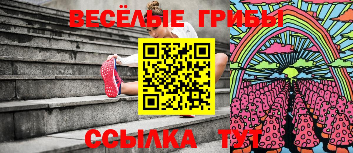 Златоуст  Галлюциногенные грибы Psilocybine cubensis  где можно купить наркотик  Вход с VPN 