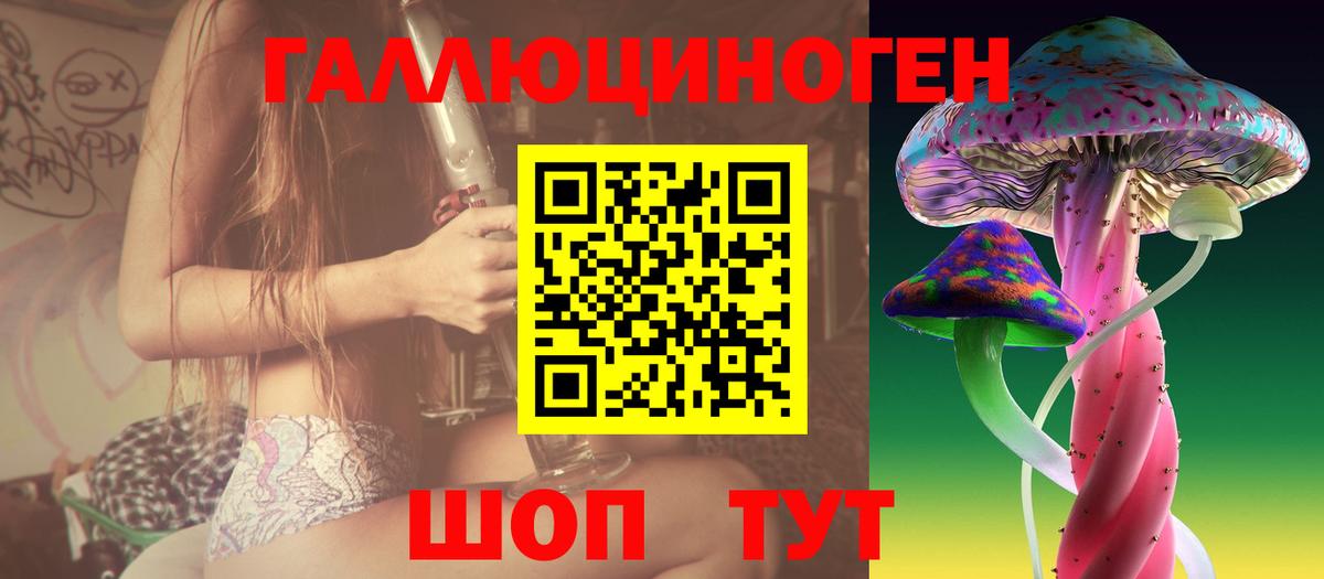 Псилоцибиновые грибы Cubensis Златоуст